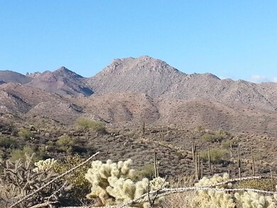 McDowell Mtn View