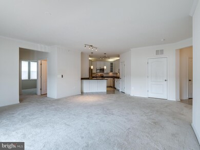 41895 Cathedral Valley Square unit 400, Aldie, VA 20105 - photo 5