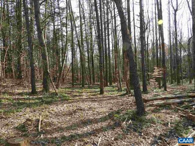 Lot #3 Earlysville Rd, Earlysville, VA 22936 - photo 2