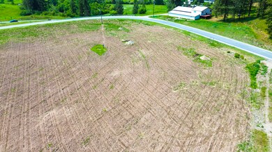 TBD-Lot 1 Immel Rd, Chewelah, WA 99109 - photo 6