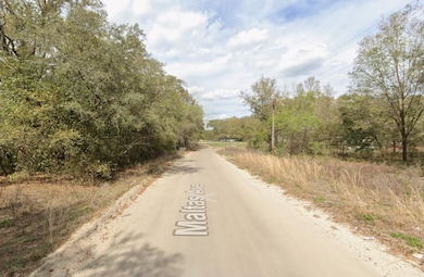 0 Maltas Ave unit 25650358, Interlachen, FL 32148 - photo 7