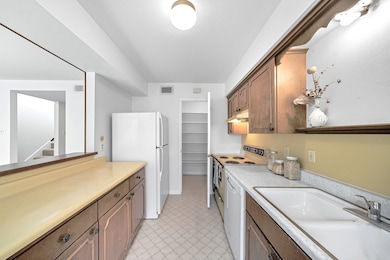 The kitchen has original finishes. The cabinets are hardwood and can be easily refurbished. There's a large walk-in pantry and a window towards the patio makes this a cozy and bright working space