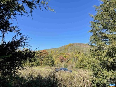 196 Hunters Point unit 11, Nellysford, VA 22958 - photo 2