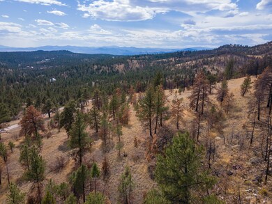 6978 Black Sandy Loop-06