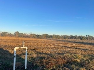 00 Holt Rd, Wray, GA 31798 - photo 3