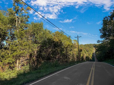 Tract 3 Everest Rd, Ruth A Township, MO 65656 - photo 6