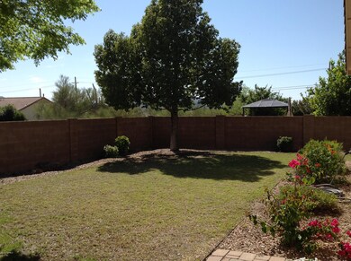 Rear Yard.jpg