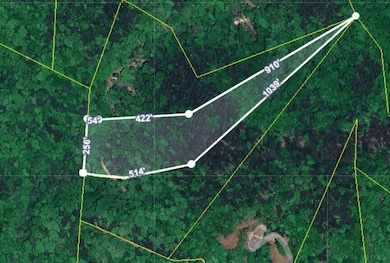 5.72 ac Off Hwy 107s, Del Rio, TN 37727 - photo 2