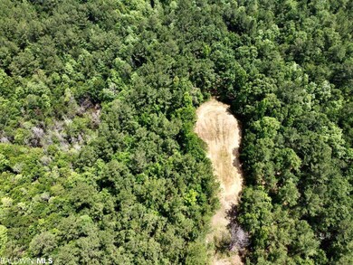 0 St Hwy 59 unit 348142, Stockton, AL 36579 - photo 7