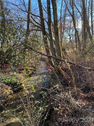 00 Howard Gap Rd, Hendersonville, NC 28792 - photo 2