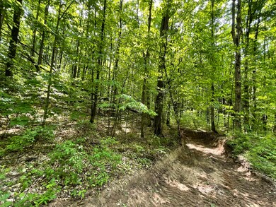 0 White Ash Trail, Vanderbilt, MI 49795 - photo 5