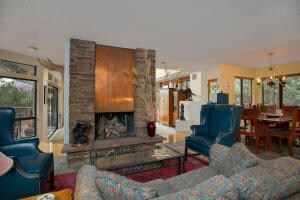 Family Room - Fireplace