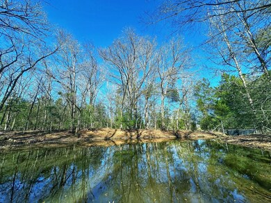 610 Fcr 301, Oakwood, TX 75855 - photo 7