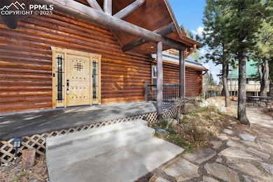 111 Blue Spruce Rd, Divide, CO 80814 - photo 6