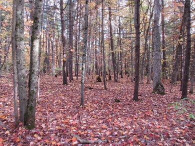 4015 Wilson Beach Rd, Twin Lake, MI 49457 - photo 5