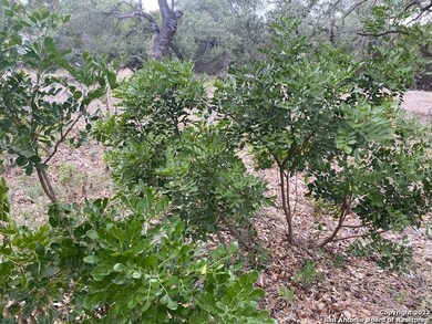 8633 Barn Owl, San Antonio, TX 78255 - photo 5