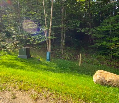 0 Hideaway Ln unit 9, Sunderland, VT 05250 - photo 4