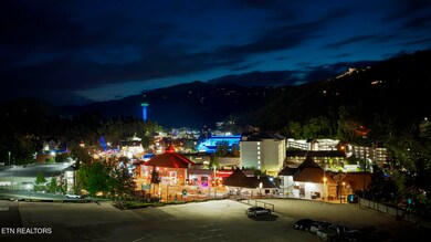 Gatlinburg Night Shots-5