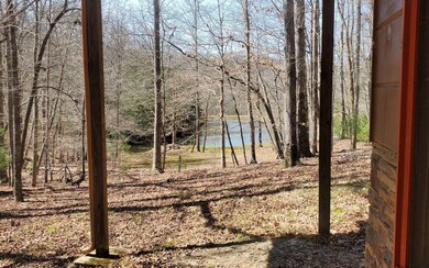 Additional View