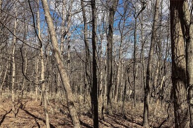 8088 Ridgeview Dr, Big Canoe, GA 30143 - photo 4