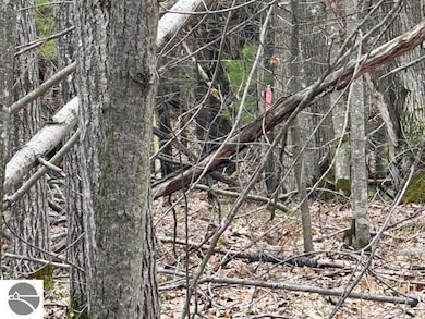 VL W Gaukel Rd, Forest Township, MI 49651 - photo 4