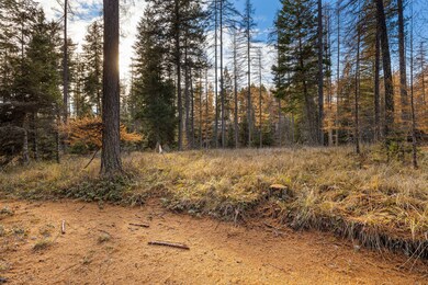 76 Meadow Mint Way, Kalispell, MT 59901 - photo 4