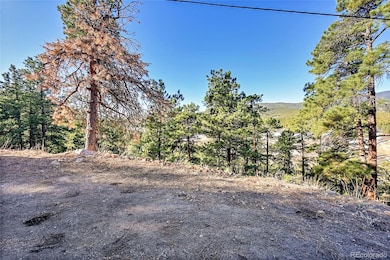 27292 Ridge Trail, Conifer, CO 80433 - photo 4