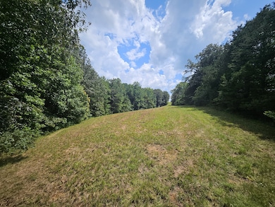 0 Young Ridge Rd unit RTC2818522, Sparta, TN 38583 - photo 4