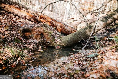 0 Greensboro Rd unit 10649352, Crawfordville, GA 30631 - photo 2