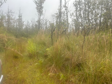 0 Ohialani Rd unit 723524, Volcano, HI 96785 - photo 6