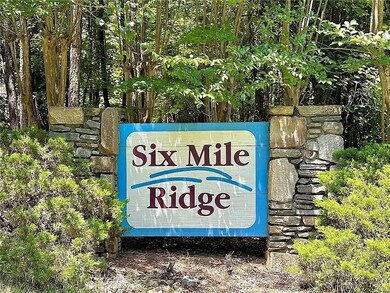 102 Long View Ct, Pickens, SC 29671 - photo 4