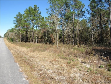 0000 SW Sands Pt Ave, Dunnellon, FL 34431 - photo 3