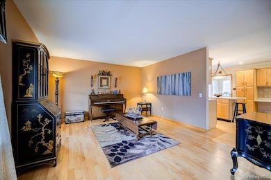 51 Mina Dr, Wappingers Falls, NY 12590 - photo 4