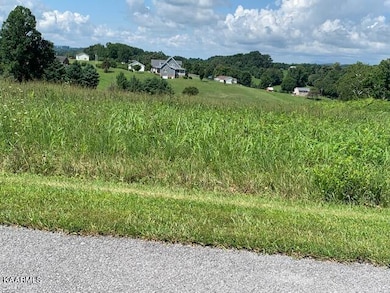 0 Oak Point Dr unit 1202484, Jonesville, VA 24263 - photo 6