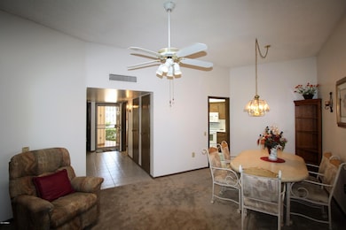 14223 N Palm Ridge Dr W, Sun City, AZ 85351 - photo 3