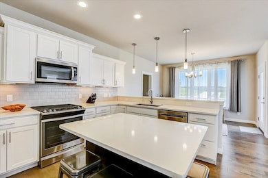 6259 Summit View Dr, Madison, WI 53719 - photo 6