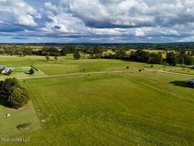 001 Andover Dr, Flora, MS 39071 - photo 4