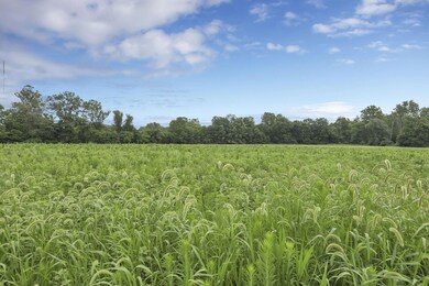 1-web-or-mls-0D3A6424