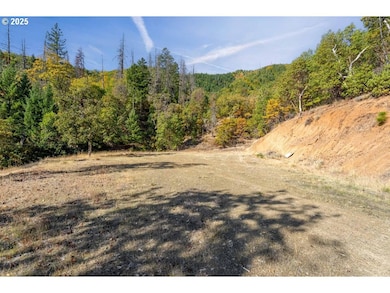 0 Sardine Cr Rd unit 495503255, Goldhill, OR 97525 - photo 3