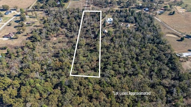 22288 County Road 422, Hideaway, TX 75771 - photo 5