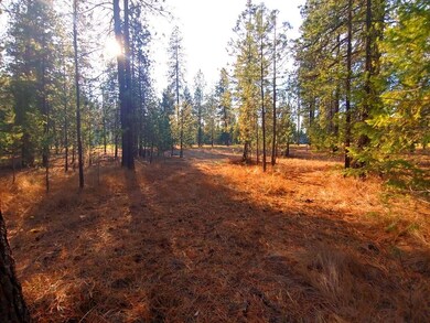 Cleared Lot from Hogans Way