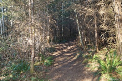 0 McGaughy Ridge Ln unit 1574341, Elma, WA 98541 - photo 3