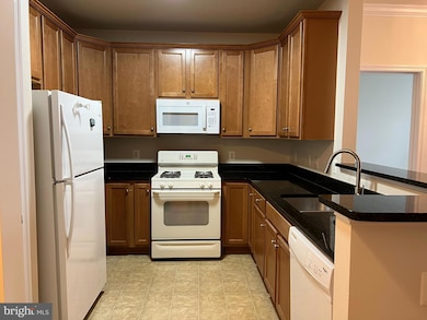 3840 Lightfoot St unit 240, Chantilly, VA 20151 - photo 2