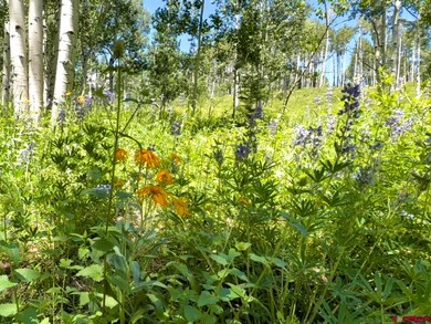 227 Phoenix Way, Crested Butte, CO 81224 - photo 6