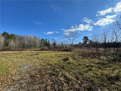 2336 State Route 228, Odessa, NY 14869 - photo 3