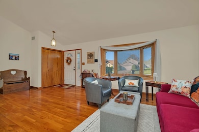 20107 Arroyo Ave, Lynwood, IL 60411 - photo 5