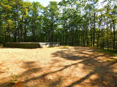 207 Route 16 Hwy, Ossipee, NH 03864 - photo 6