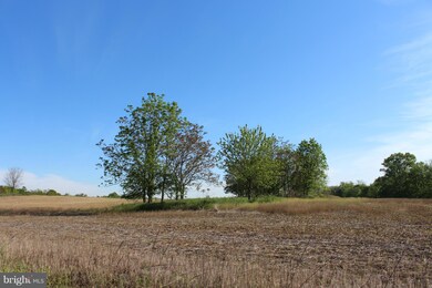 0 Not On File unit 1002424084, Berryville, VA 22611 - photo 7