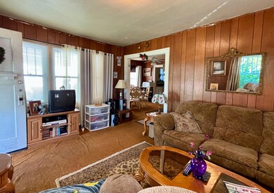 IMG_6935_jpg