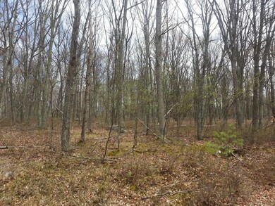 232 Sec 2 Lilypad Ln, Lackawaxen Township, PA 18428 - photo 2